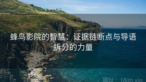 蜂鸟影院的智慧：证据链断点与导语拆分的力量