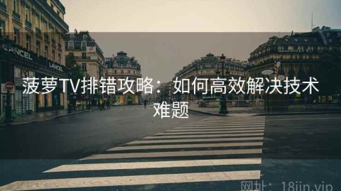 菠萝TV排错攻略：如何高效解决技术难题