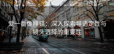 爱一番像排错：深入探索导语定性与镜头选择的重要性