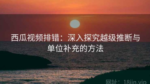 西瓜视频排错：深入探究越级推断与单位补充的方法